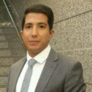 Mehdi Darini