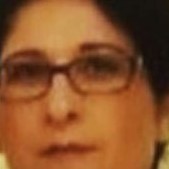 Elham Salmanzadeh