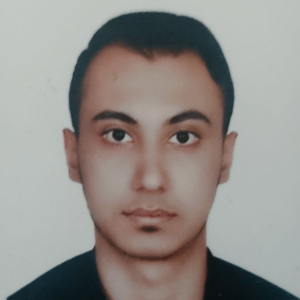 Reza Hamidi